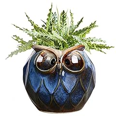 Gelive blue owl for sale  Delivered anywhere in USA 
