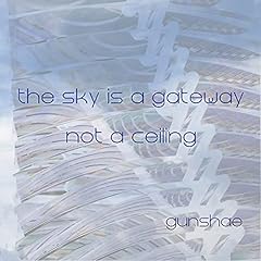 The sky gateway gebraucht kaufen  Wird an jeden Ort in Deutschland