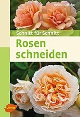 Rosen schneiden schnitt gebraucht kaufen  Wird an jeden Ort in Deutschland