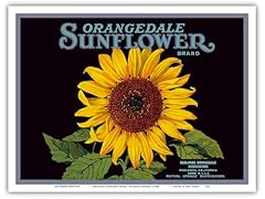 Orangedale sunflower brand for sale  Delivered anywhere in USA 