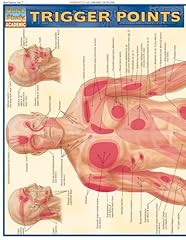 Trigger points quickstudy for sale  Delivered anywhere in USA 