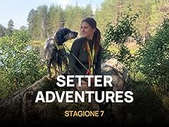 Setter adventures usato  Spedito ovunque in Italia 
