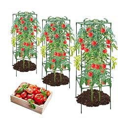 Mqhuayu pack tomato for sale  Delivered anywhere in USA 