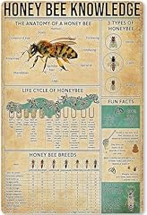 Honey bee knowledge for sale  Delivered anywhere in USA 