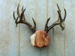 Taxidermists woodshop cedar for sale  Delivered anywhere in USA 
