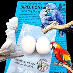 Plastic large parrot for sale  Delivered anywhere in USA 