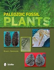 Paleozoic fossil plants for sale  Delivered anywhere in USA 