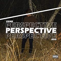 Perspective explicit gebraucht kaufen  Wird an jeden Ort in Deutschland