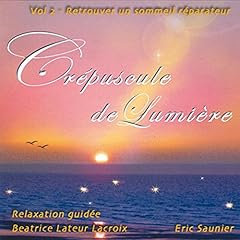 Crépuscule lumière vol d'occasion  Livré partout en France