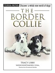 The border collie d'occasion  Livré partout en Belgiqu