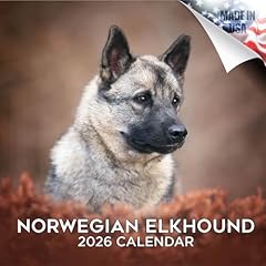 2024 2025 norwegian for sale  Delivered anywhere in UK