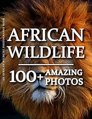 African wildlife photography for sale  Delivered anywhere in USA 