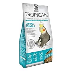 Hari tropican cockatiel for sale  Delivered anywhere in UK