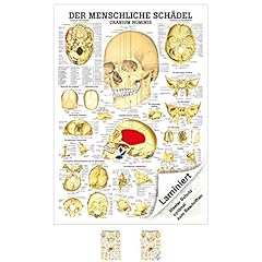 Rüdiger schäde lehrtafel gebraucht kaufen  Wird an jeden Ort in Deutschland