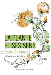 Plante sens d'occasion  Livré partout en France