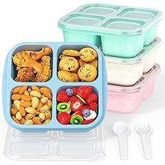 Rgnein bento snack for sale  Delivered anywhere in USA 