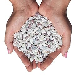 Decorative pebbles plants for sale  Delivered anywhere in USA 
