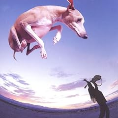 Flying dog for sale  Delivered anywhere in UK