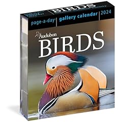 Audubon birds page for sale  Delivered anywhere in UK