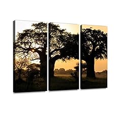 Tanzania sunrise print for sale  Delivered anywhere in USA 