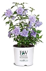 Green promise farms for sale  Delivered anywhere in USA 