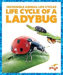 Life cycle ladybug for sale  Delivered anywhere in USA 