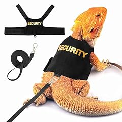 Tukoaw bearded dragon for sale  Delivered anywhere in UK