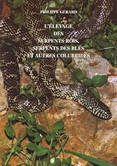 Elevage serpents rois d'occasion  Livré partout en Belgiqu