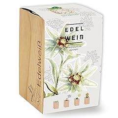 Feel green ecoblock gebraucht kaufen  Wird an jeden Ort in Deutschland
