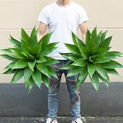 Ttranewsoo artificial agave for sale  Delivered anywhere in USA 