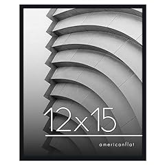 Americanflat 12x15 picture for sale  Delivered anywhere in USA 