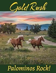 Gold rush palomino d'occasion  Livré partout en France