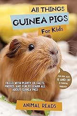 Things guinea pigs for sale  Delivered anywhere in UK