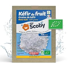 Grains kéfir eau d'occasion  Livré partout en France