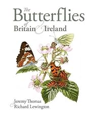 Jeremy thomas butterflies for sale  Delivered anywhere in UK