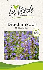 Drachenkopf blumensamen gebraucht kaufen  Wird an jeden Ort in Deutschland