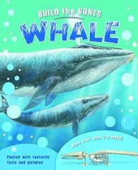 Build bones whale for sale  Delivered anywhere in UK