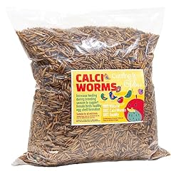 Calci worms wild for sale  Delivered anywhere in UK