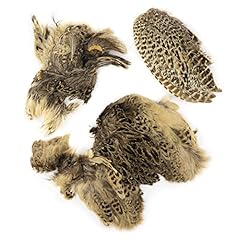 Zucker ringneck pheasant for sale  Delivered anywhere in USA 