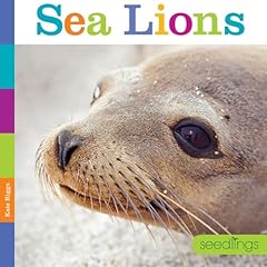 Seedlings sea lions for sale  Delivered anywhere in USA 