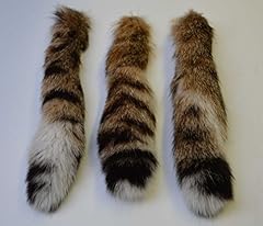 Bobcat tail for sale  Delivered anywhere in USA 