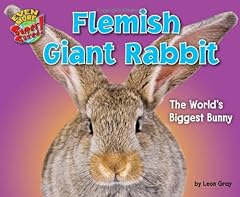 Flemish giant rabbit for sale  Delivered anywhere in USA 