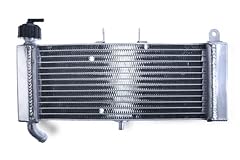 Avdb moto radiatore usato  Spedito ovunque in Italia 