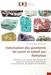 Valorisation gisements cuivre d'occasion  Livré partout en Belgiqu