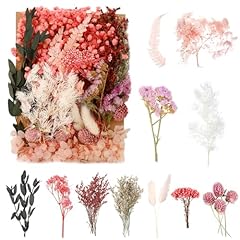 Natural dried flowers for sale  Delivered anywhere in UK