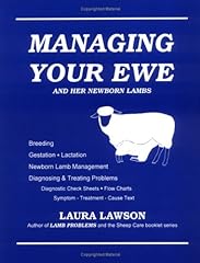 Managing ewe newborn for sale  Delivered anywhere in USA 