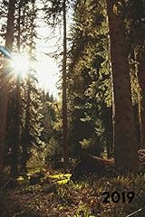 2019 beautiful sunrise for sale  Delivered anywhere in USA 