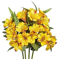 Grand verde alstroemeria for sale  Delivered anywhere in USA 