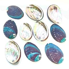 Abalone shell pieces for sale  Delivered anywhere in USA 