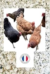 900 coquilles huîtres d'occasion  Livré partout en Belgiqu